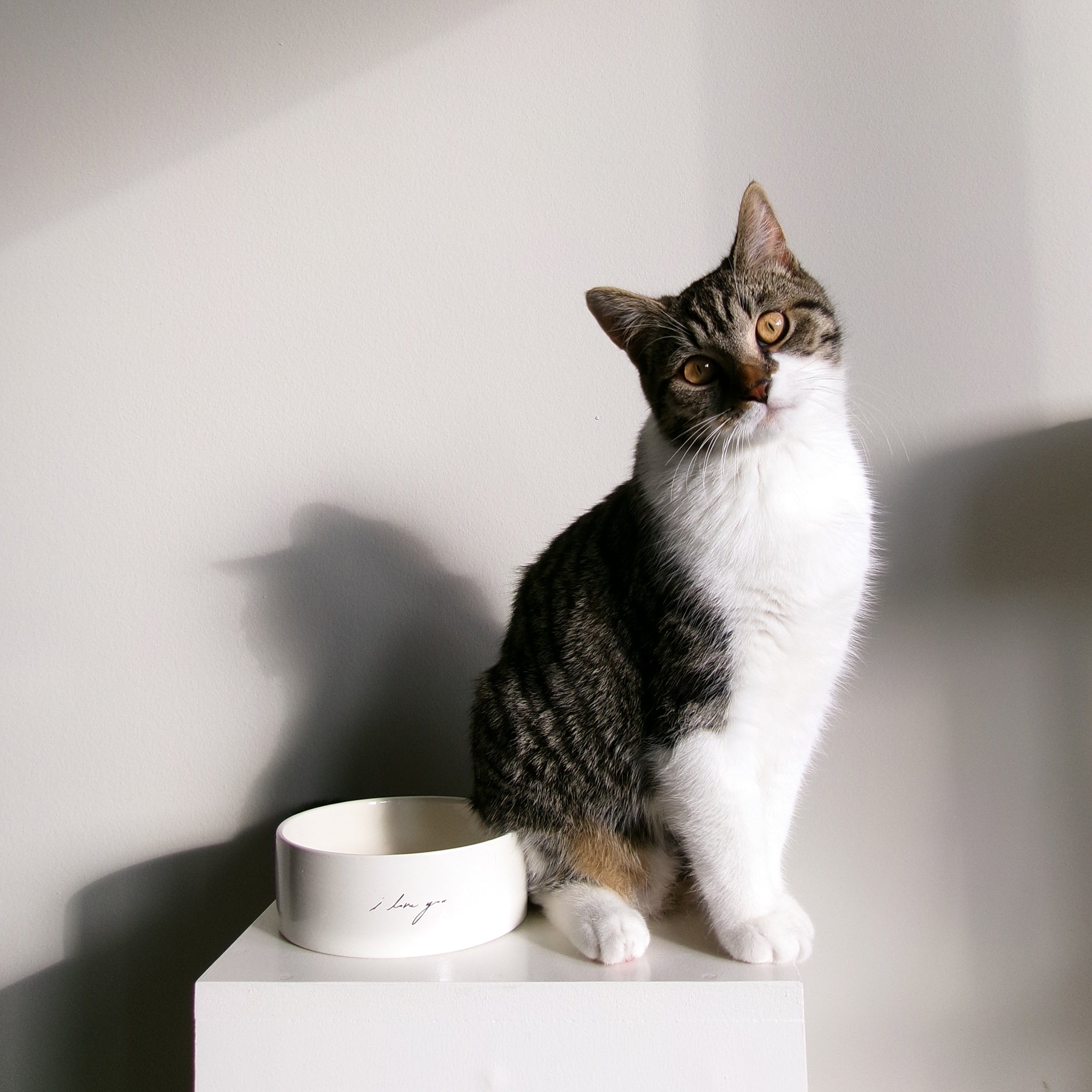 I LOVE YOU PET BOWL
