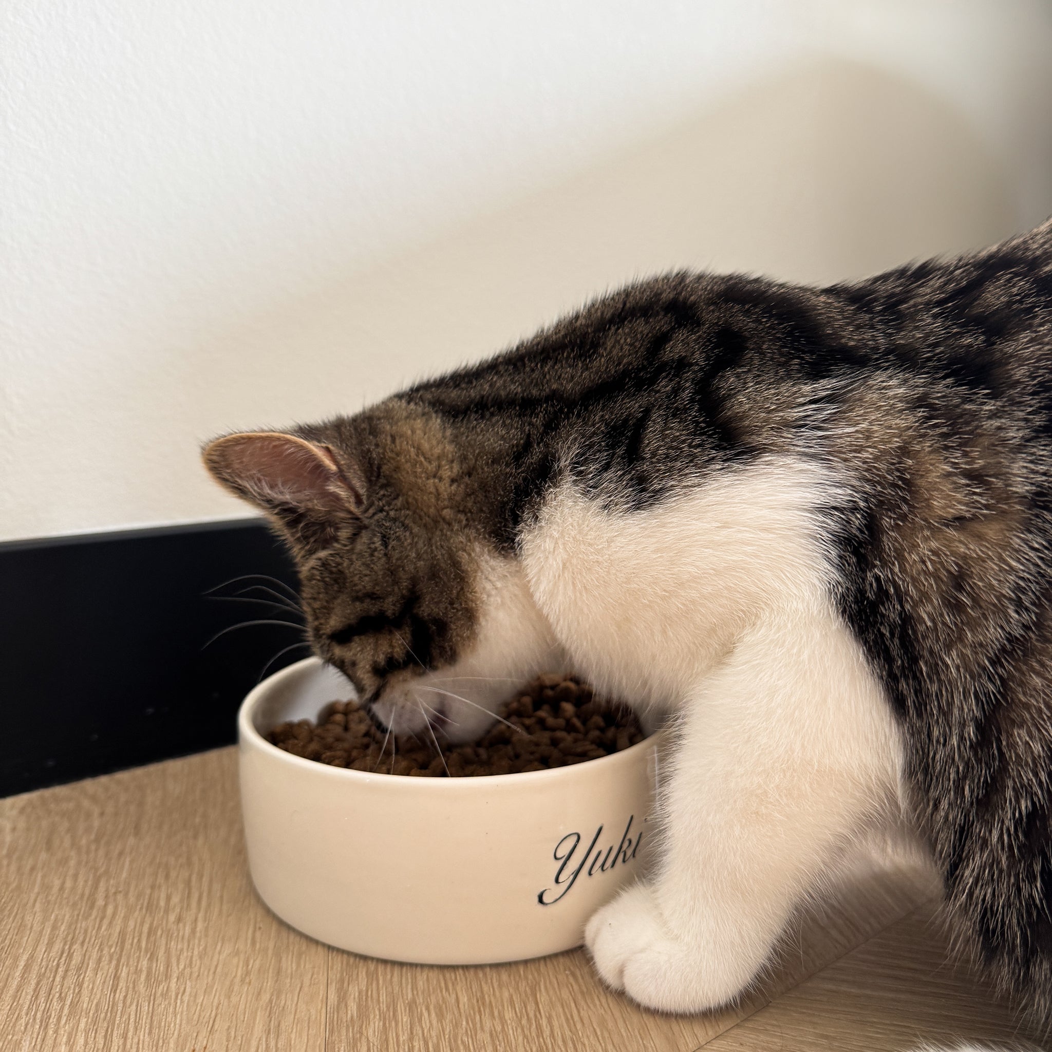 PERSONALIZED PET BOWL