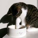 I LOVE YOU PET BOWL
