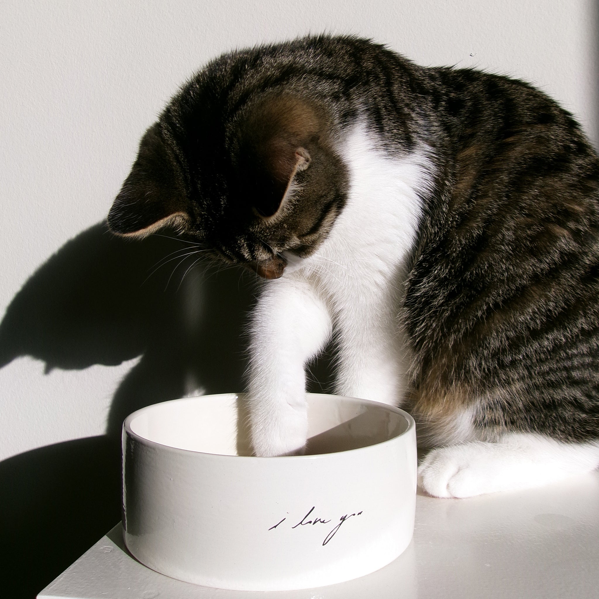 I LOVE YOU PET BOWL